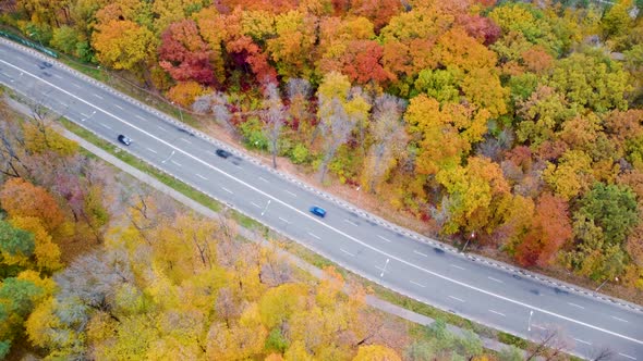 Aerial cars driving road in yellow autumn forest