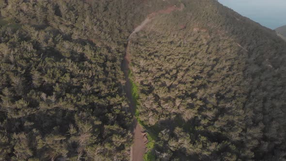 Path through woods of Pico do Facho, Portugal. Aerial forward tilt up reveal alt