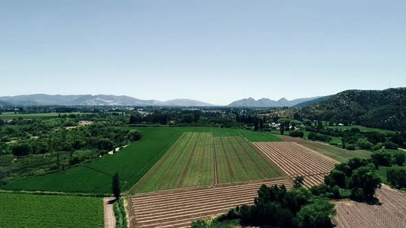 60 fps drone footage of a nice chilean valey landscape full of vineyard alt