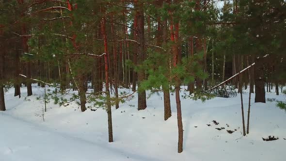 Winter Lake Streshno  alt