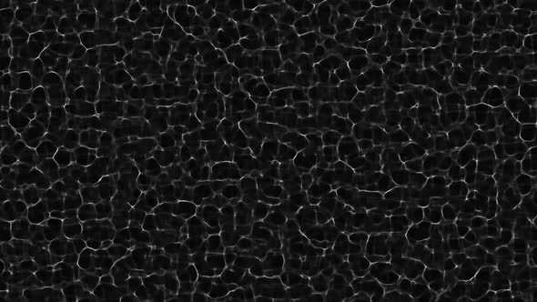 Animation of white waves on a black background. Fractal moving waves
