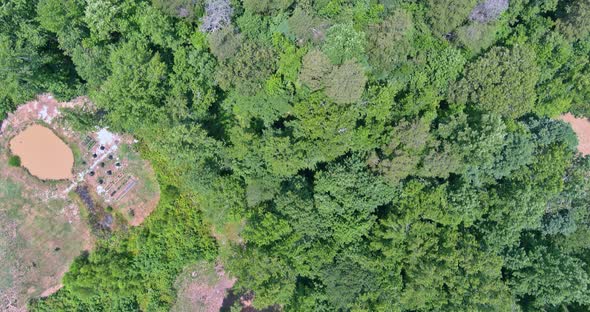 View of a Small Town with Private House Located Around the Forest in South Carolina alt