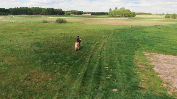 Horse Riders On A Light Brown And A Bay Horse Running Across The Farm Field Meadows alt