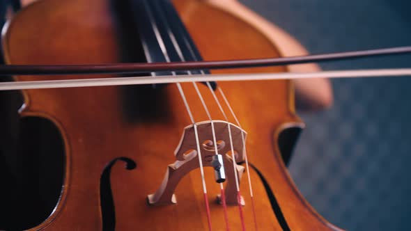 Female Cello Player Playing Violoncello