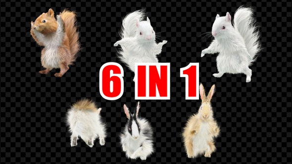 Squirrel Rabbit 4 Pack alt