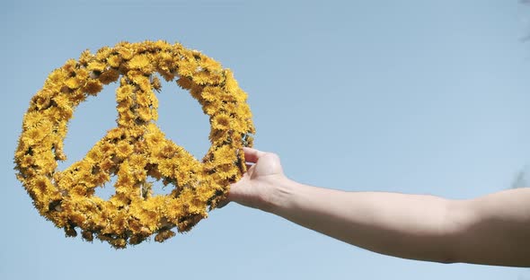 A man holds in his hand A great symbol of peace made of yellow flowers on a background of blue sky alt