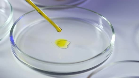 microbiological research  Petri dishes laboratory chemical reagent from pipette alt