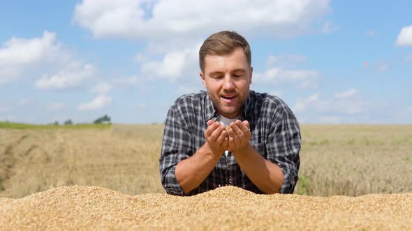 Farmer Holding Grains of Wheat in Hands alt
