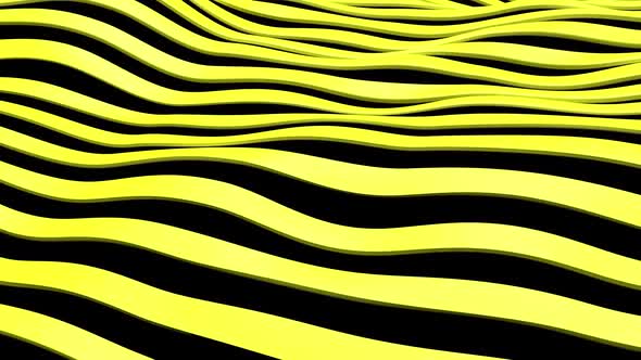 Black and yellow lines wave 