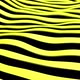 Black and yellow lines wave  - VideoHive Item for Sale