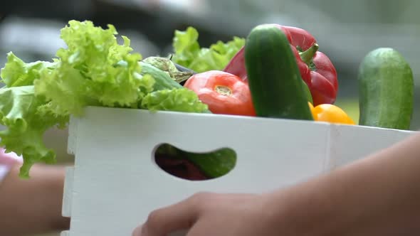 Greenhouse Worker Receiving Vegetables Box From Male Hands, Eco Food Market