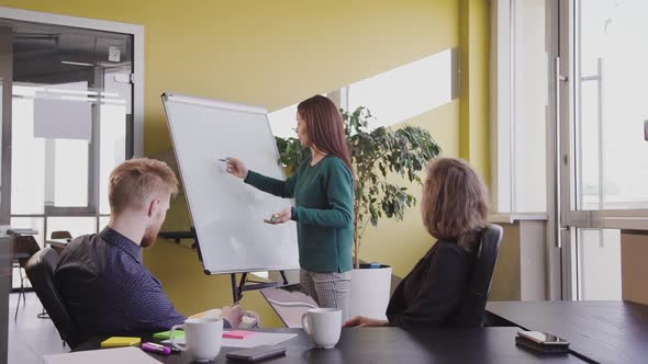 American Woman Coach Is at Business Seminar with Work Team in Office Room. alt