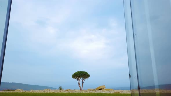 Camera Fly Through the Glass Walls on a Tree Standing on the Background of the Mountains alt
