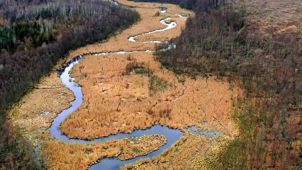 Aerial view of river in brown swamps