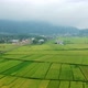 A stretch of rice fields between the mountains and the river - VideoHive Item for Sale