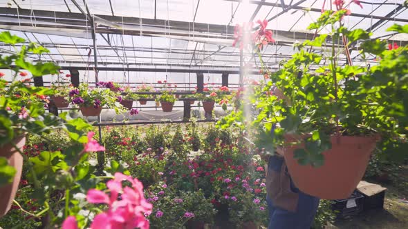 Gardener with Tablet Walks in Greenhouse