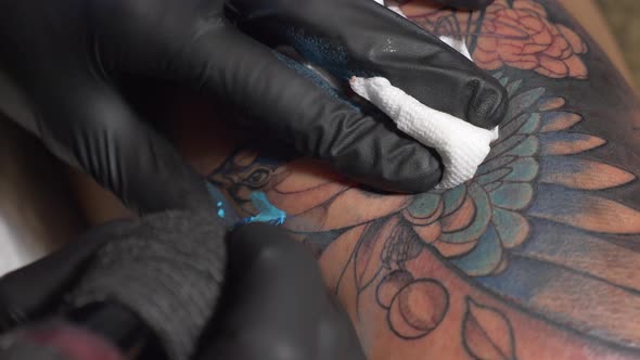 Tattoo Artist Doing A Beautiful Bird Tattoo On His Client Wearing His Black Gloves And Using His Wip alt