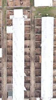 Aerial View of a Shelter for Stray Dogs alt