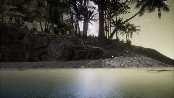 Beautiful Fantasy Tropical Beach with Milky Way Star in Night Skies alt