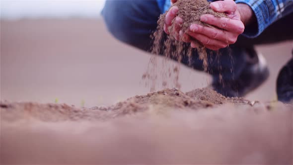 Farmer Examining Organic Soil in Hands, Farmer Touching Dirt in Agriculture Field. alt