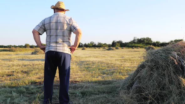 Golden Wheat Field alt