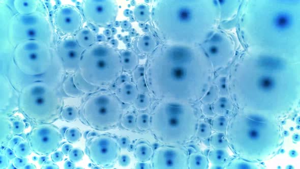 animated background digital tehnology concept. Motion graphic 4k resolution