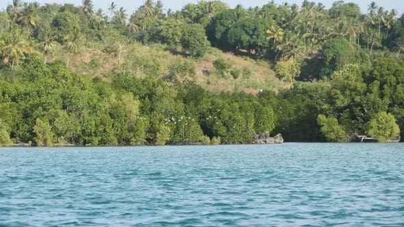 Unspoiled Coast of Zanzibar with Flock of Birds Forest Palms Reefs and Ocean alt