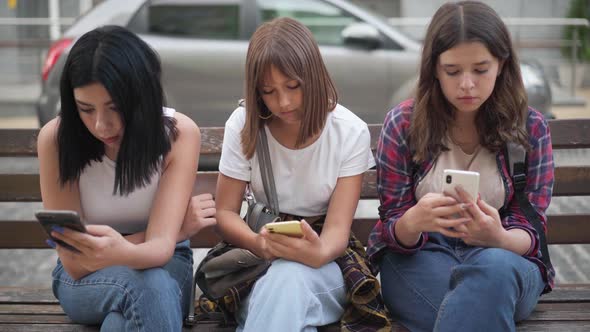 Front View Portrait of Three Absorbed Teenage Girls Surfing Social Media in Smartphone Apps Sitting alt