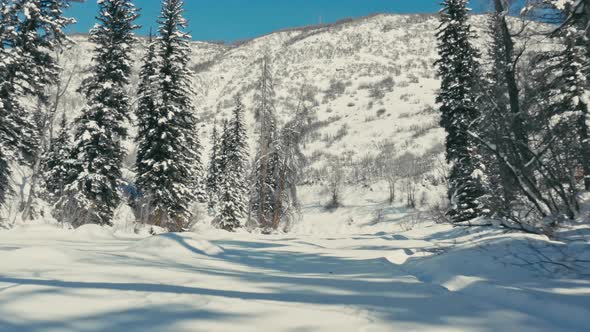 Cinematic drone flies low and around a bend over a snow covered Colorado river