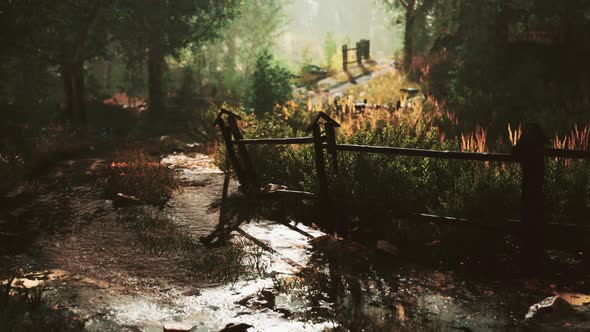 Old Wooden Fence and Dirt Road in the Countryside at Summer Season alt
