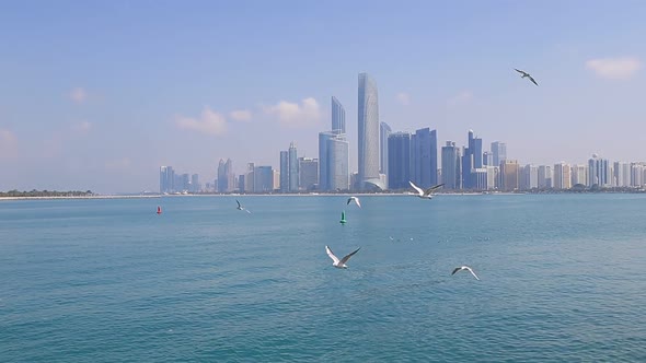 Abu Dhabi Cityscape During Sunny Day with Seagulls Flying Around View From Seaside alt
