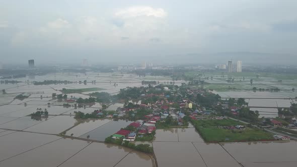 Aerial view small Malays village surrounded by flooded paddy field alt