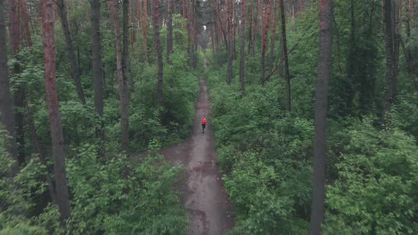 Woman runner is training in forest. Female athlete running on dirty trail in forest on rainy day alt
