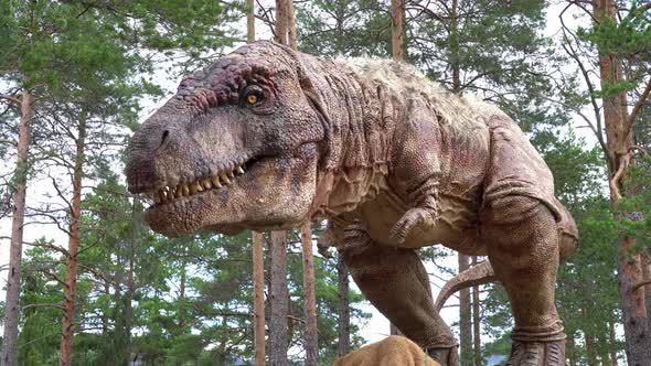 Scary closeup of massive  true to life tyrannosaurus rex recreation - Bjørneparken Norway - Static h alt