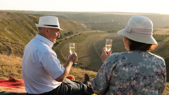 Elderly Couple Sit on the Top of a Hill at a Picnic, Cheers a Glass of Champagne alt