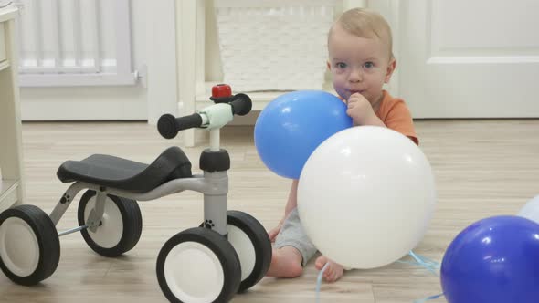 Kid Celebrating His First Birthday Received a Balance Bike As a Gift Baby Boy on Baby Balance Bike alt