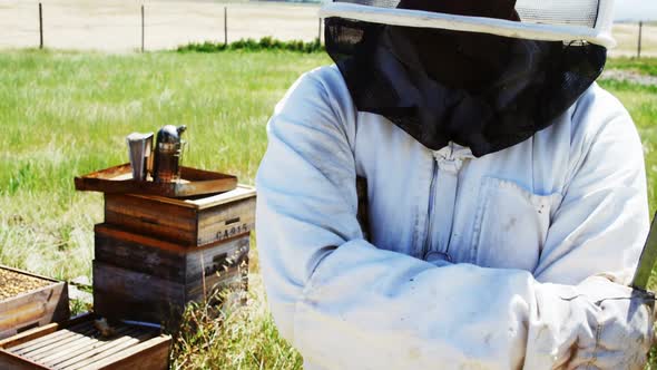 Confident beekeeper standing with arms crossed alt