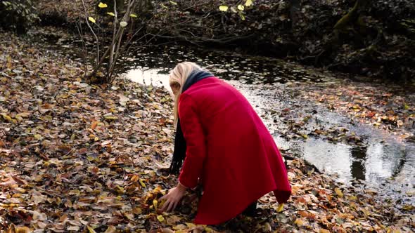 SLOWMOTION Young beautiful woman picking up leaves from the orange brown autumn forest ground while alt