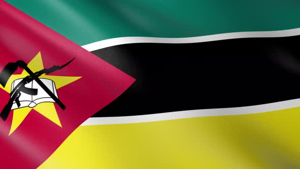 Flag of The Mozambique alt