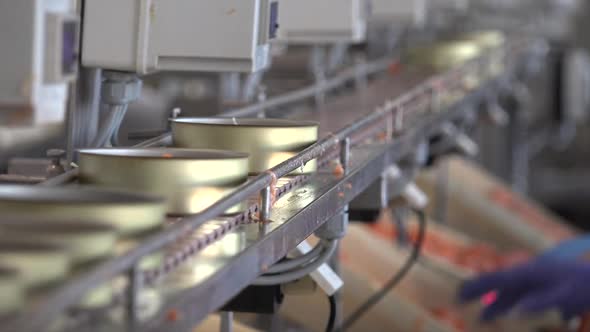 Canned Fish Production Line 63