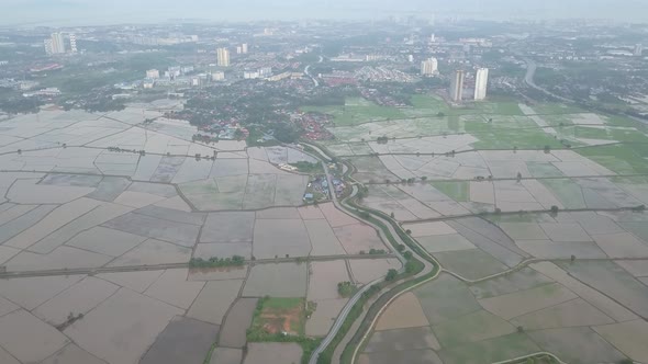 Aerial view look down paddy field alt