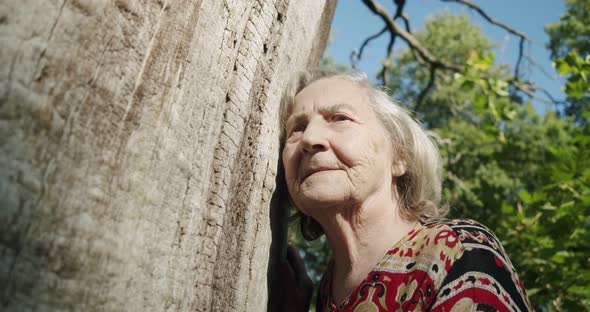 Portrait of an Elderly Old Woman Leaning Against the Trunk of an Old Tree Looking Into the Distance alt