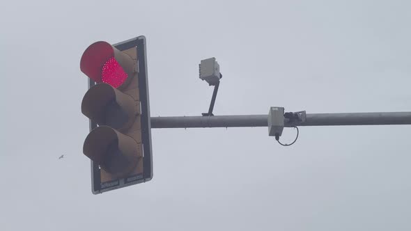 City Traffic Light And Electronic Sensors alt