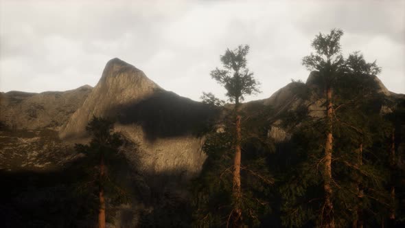 Fog and Pine Trees on Rugged Mountainside and Coming Storm alt