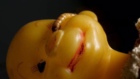 Close Up Face of Old Doll with Worms