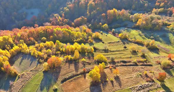 Aerial Top View with Landscape in the Autumn Forest Mountains alt