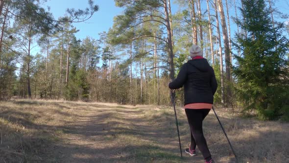 Follow cam of an elder woman hiking through the forest during spring, using hiknig sticks. alt