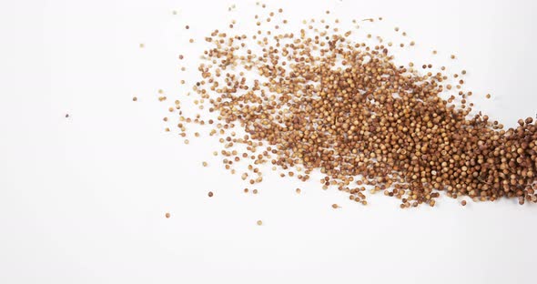 Coriander, coriandrum sativum, seeds falling against White Background, Slow Motion 4K alt