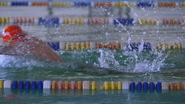Professional Swimmer Performing Butterfly Stroke alt