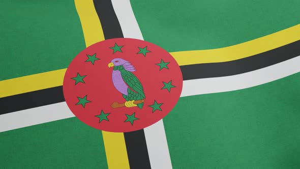 National Flag of Dominica Waving Original Size and Colors 3D Render Commonwealth of Dominica Flag alt